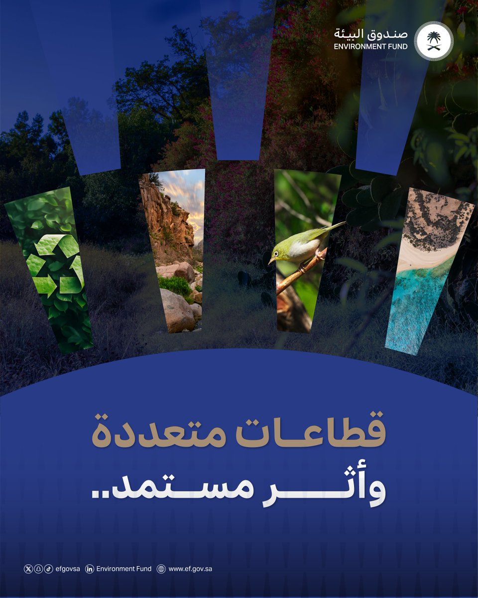 صندوق البيئة tweet media