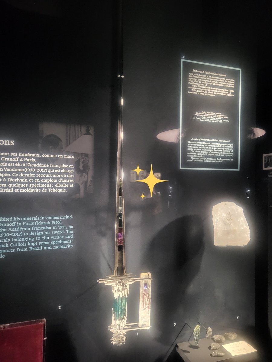 Amaryllis tweet media