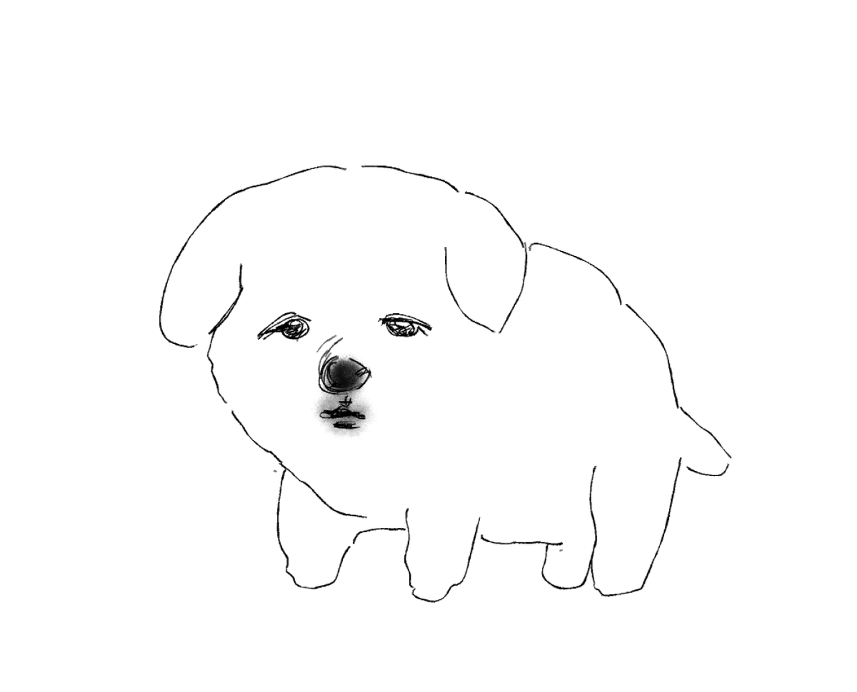 킨붕이 tweet media