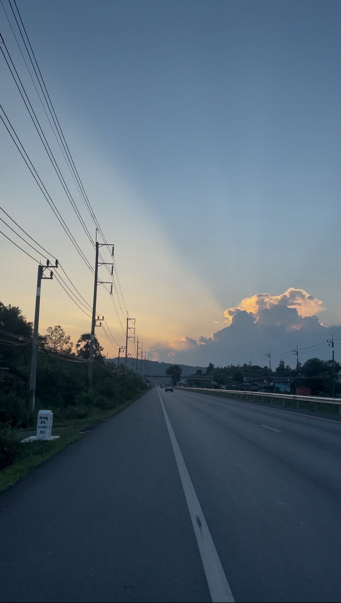 🤍🌻 tweet media