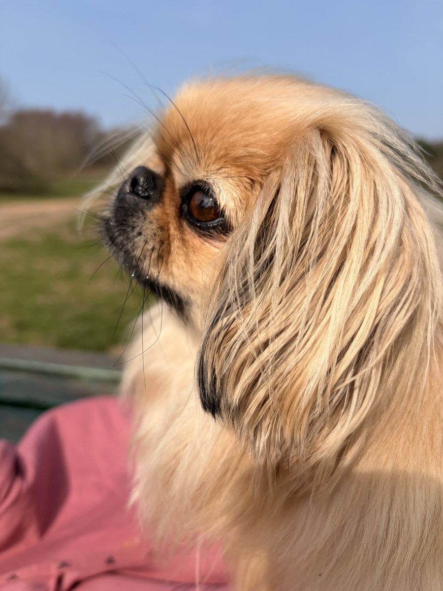 Puss Puss & Dottie ..Titch & Rupe OTRB tweet media