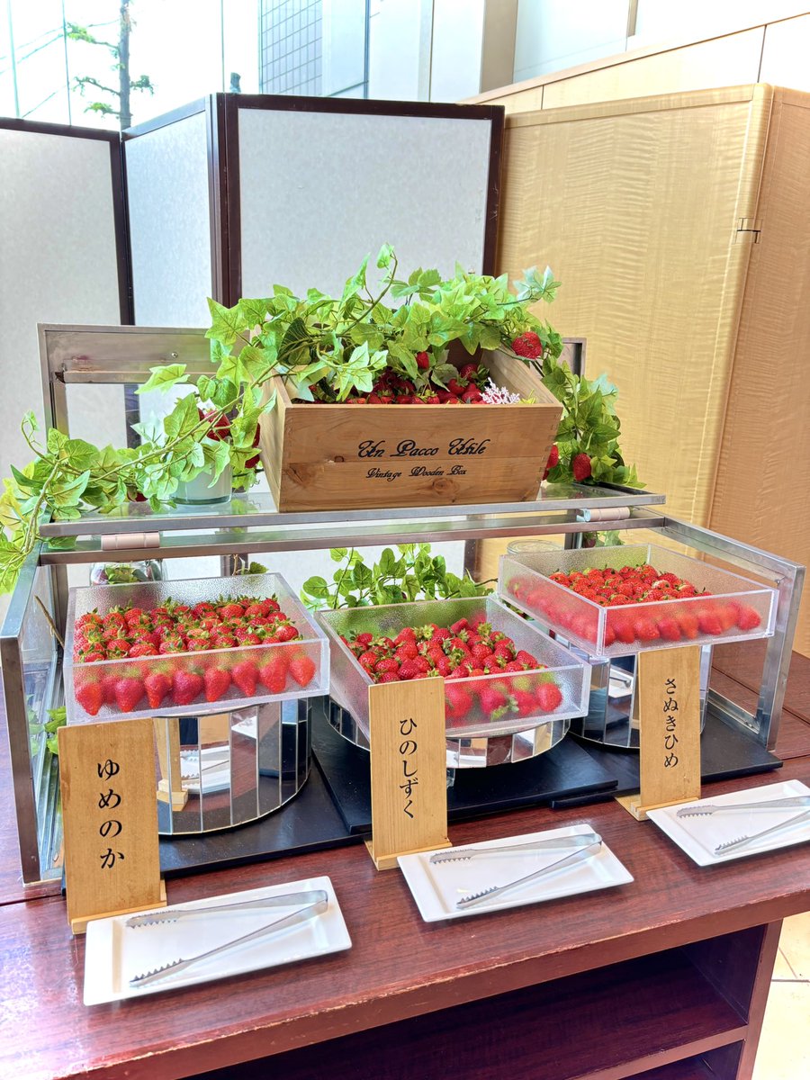 藍川はるか🙏プロレスをする不適切アイドル tweet media