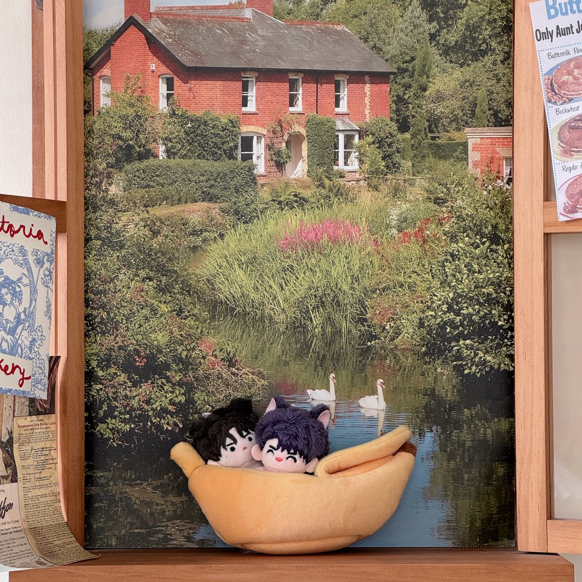 ˚✧₊⁎ 𝒕𝒐𝒓 ⁎⁺˳✧˚ tweet media