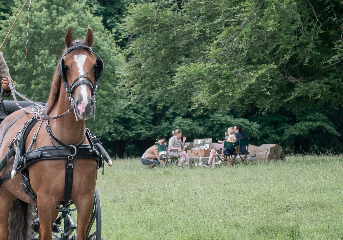 Visit Windsor Meetings & Events tweet media