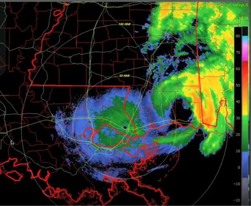 Raphaelle O'Neil tweet media