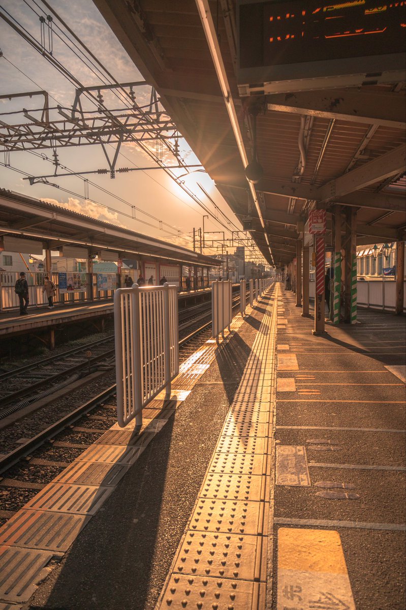 Shun Sakamoto tweet media