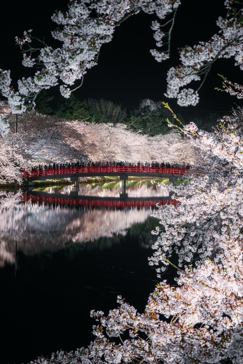 zookomi東北の四季 tweet media