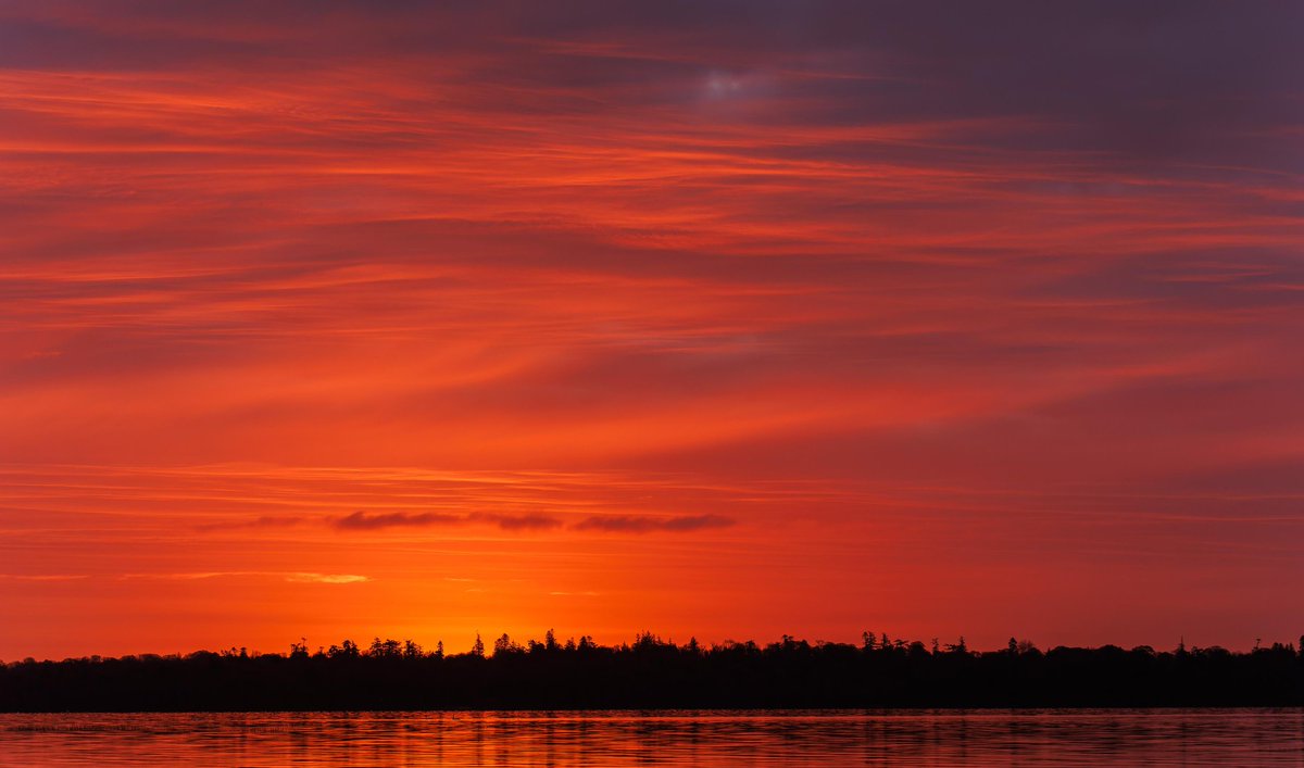 James Crombie tweet media