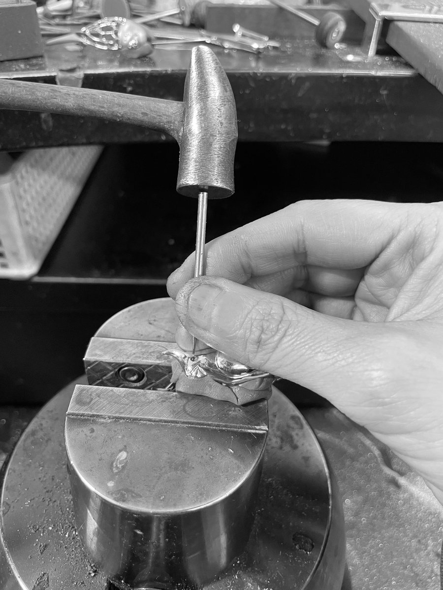 PioParakee@4/1~6新宿ことり博・小田急|4/10~12花甜鳥市・台湾/高雄 tweet media