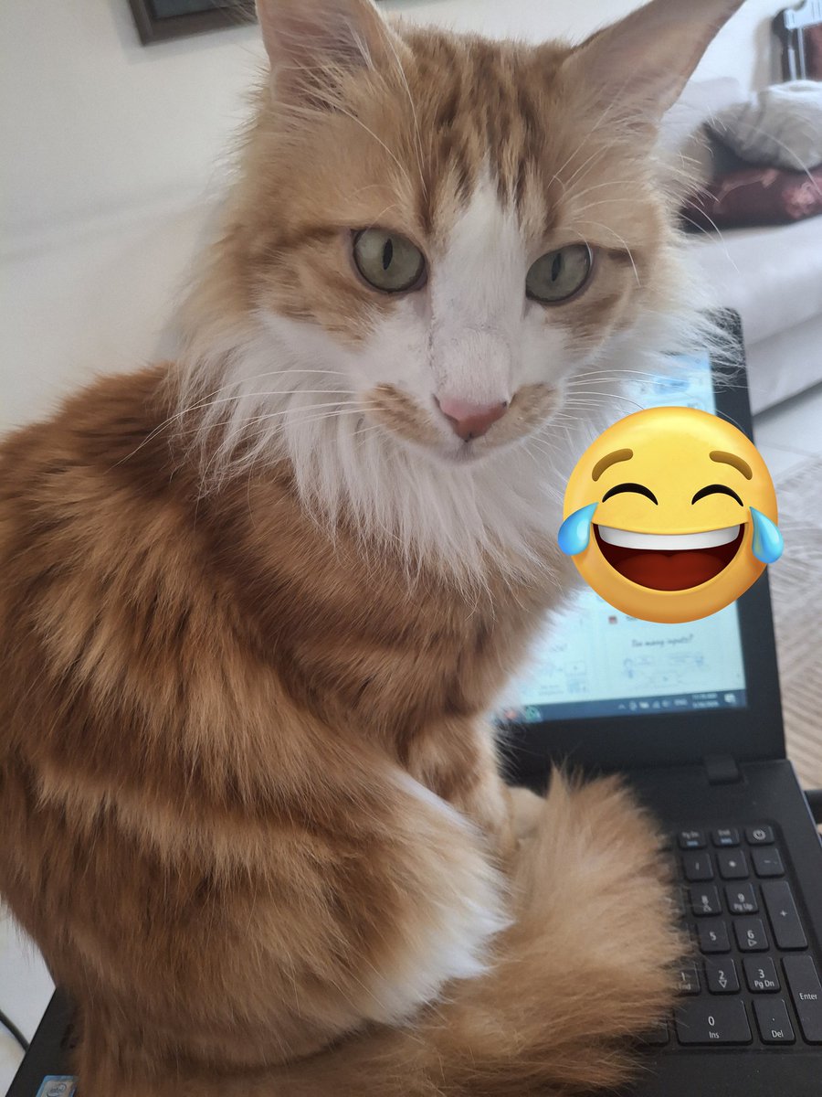 nina𐤍𐤉𐤍𐤀 tweet media