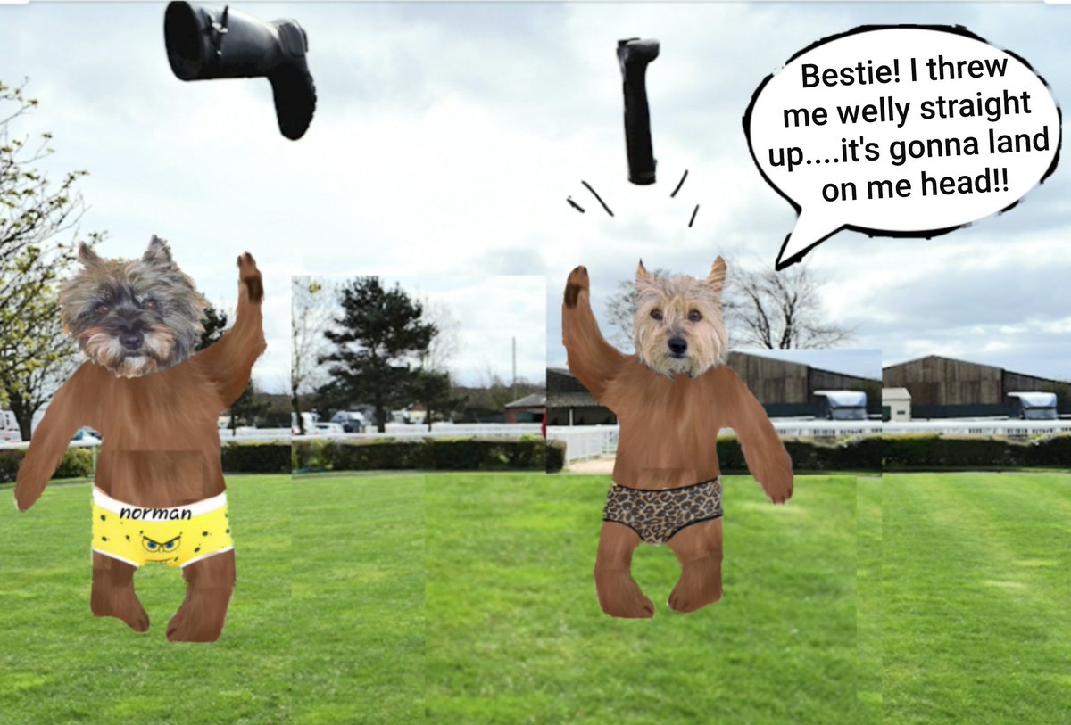 jennystape's tweet photo. Throwback Thursday wiv the BovverBoys at #zzst 
#ThrowbackThursday #Memories @Norman_Dillon1 #BovverBoys #ThoseWereTheDays #SoMuchFun #BovverBoysForever https://t.co/fXrsvArL5u