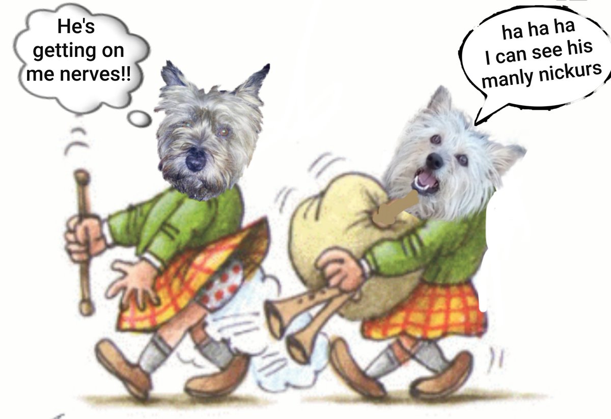 jennystape's tweet photo. Throwback Thursday wiv the BovverBoys at #zzst 
#ThrowbackThursday #Memories @Norman_Dillon1 #BovverBoys #ThoseWereTheDays #SoMuchFun #BovverBoysForever https://t.co/fXrsvArL5u