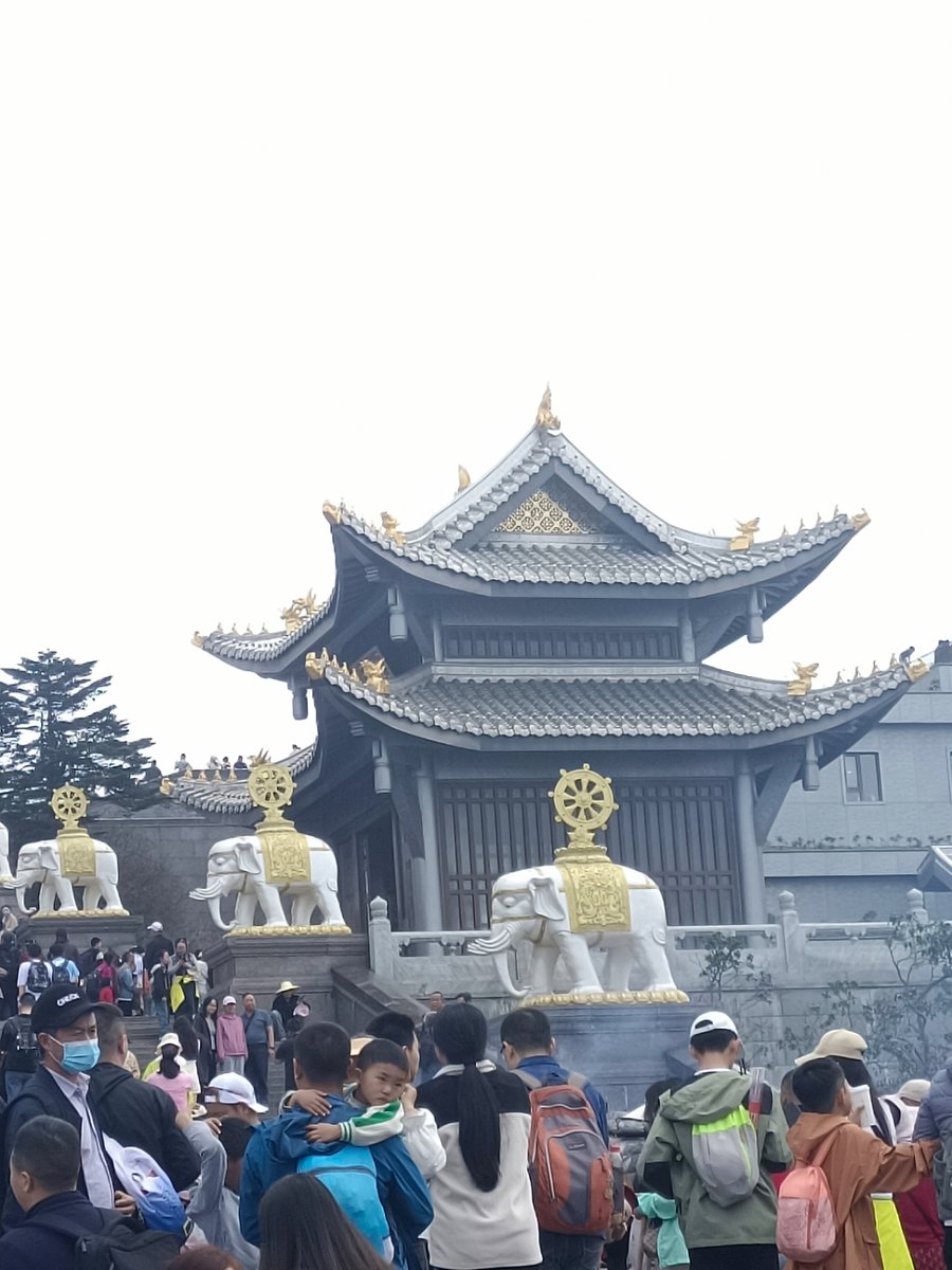 connor o'brien tweet media