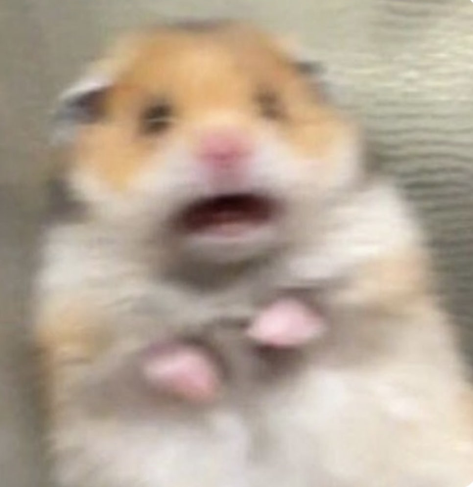 환친넘 tweet media