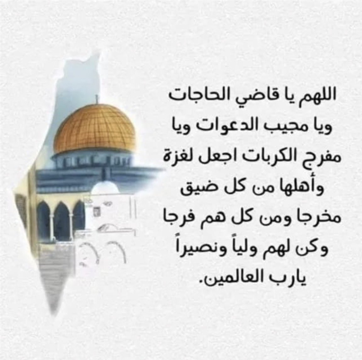 🍃🍃 tweet media