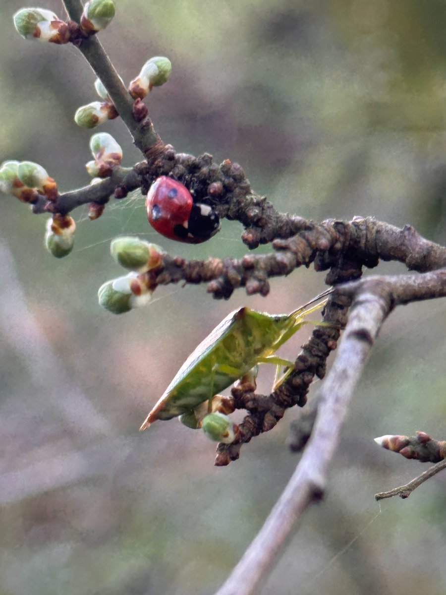 OneStopCleaningShop tweet media