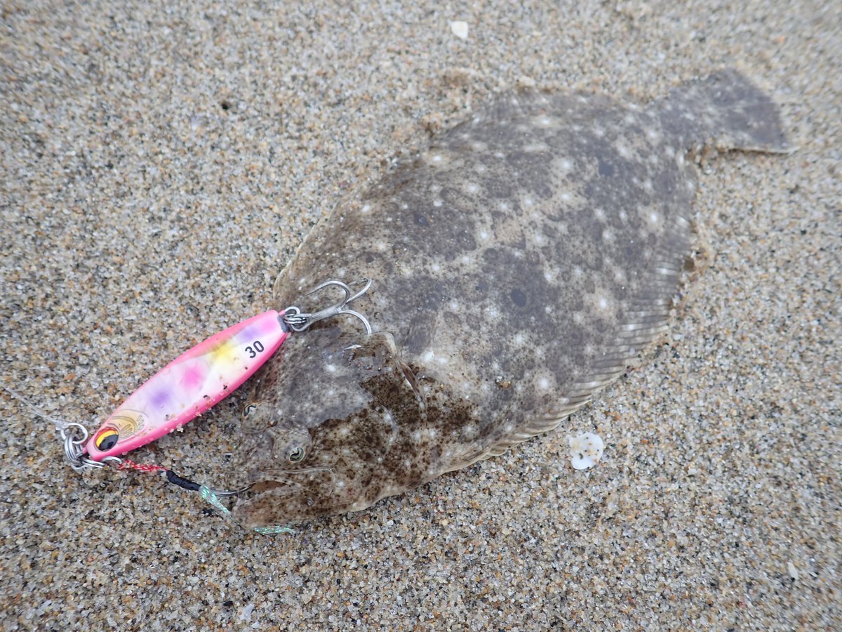 野上 達也 a.k.a アカハラ tweet media