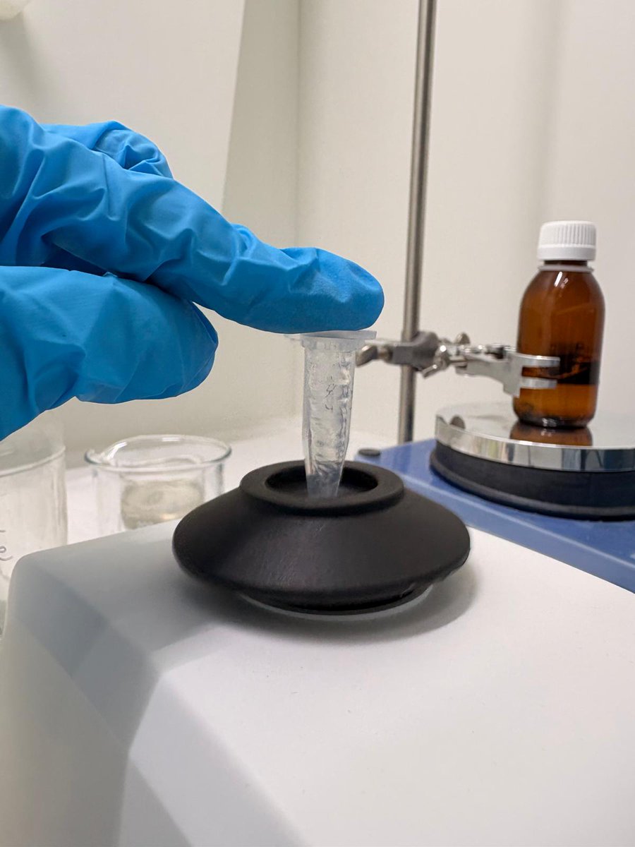 InesCaro22's tweet photo. Eppendorf + vortex = good science 🔬🌀

Sample homogeneity matters:
if you don’t mix it well, you’re not measuring what you think you are.
Small steps, big impact on your results. https://t.co/FlSYaxAMgu