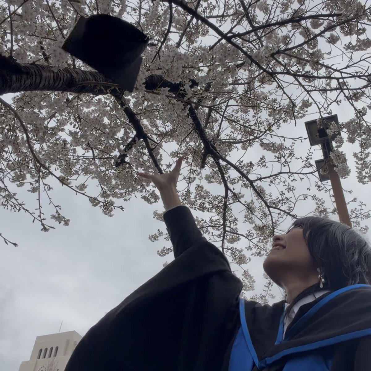 あるみめんべい tweet media