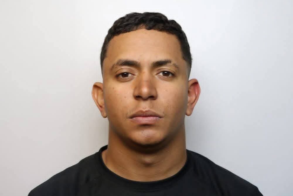 Danielle Proto tweet media