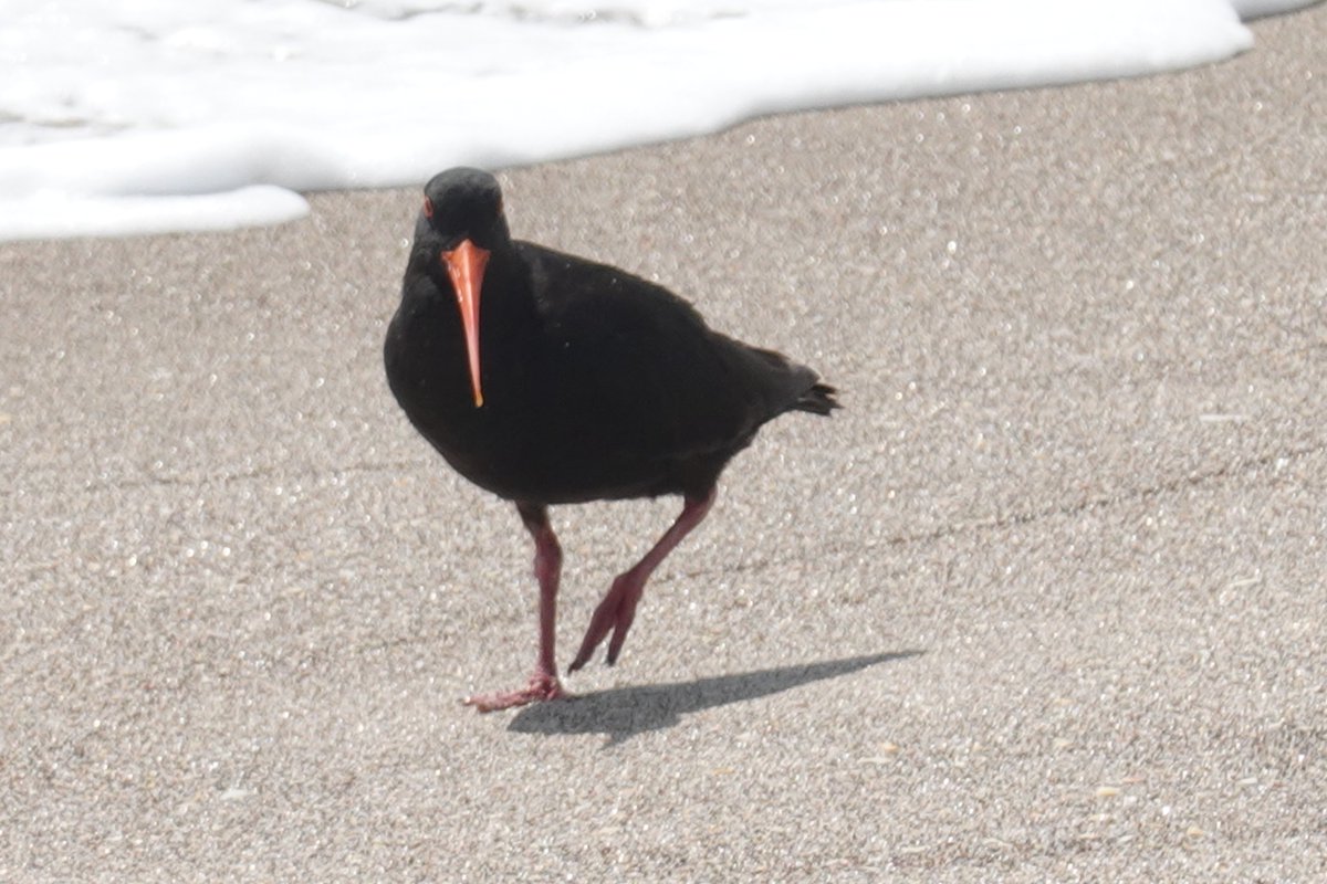 Jerry Rotton tweet media