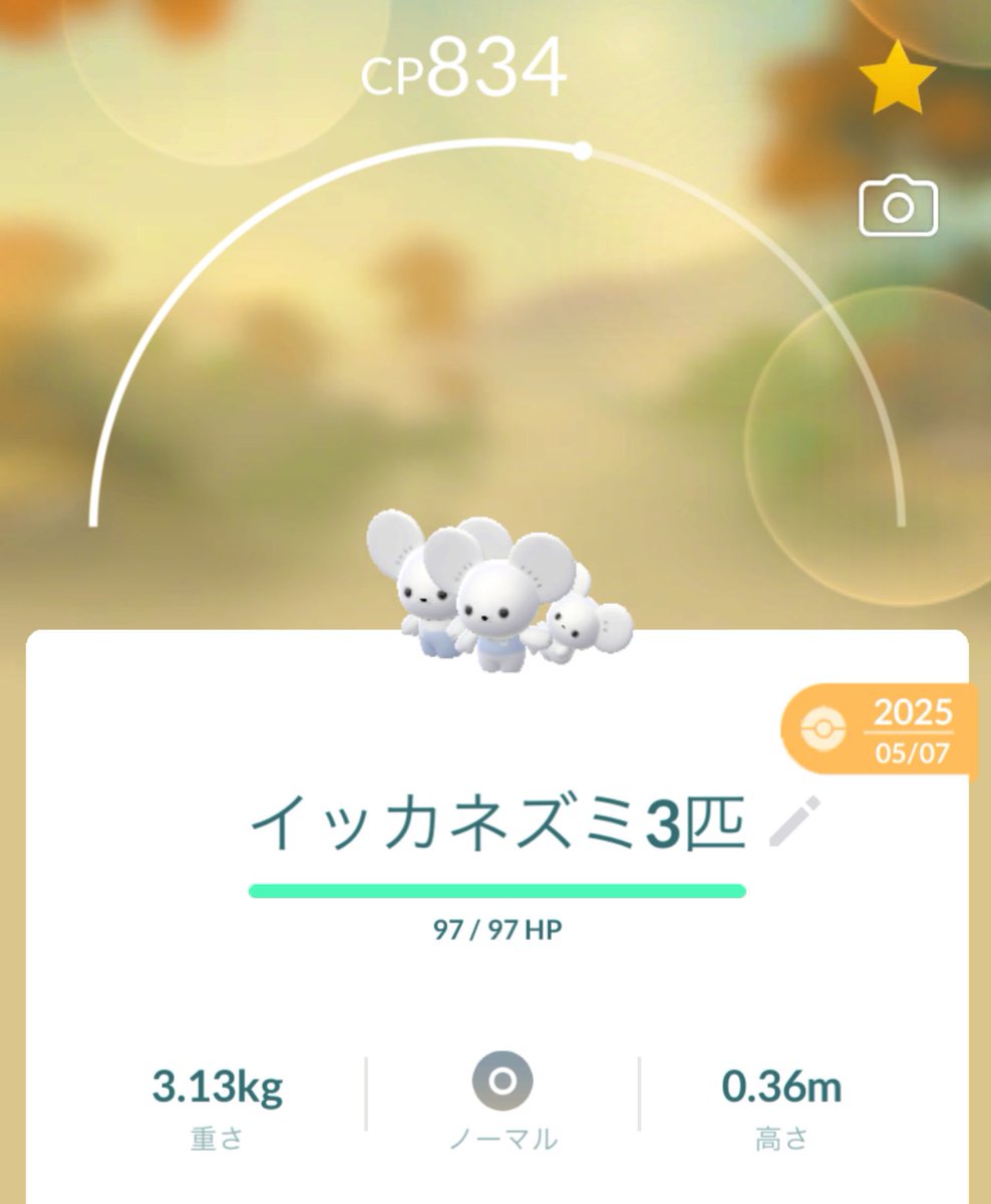 ゆうや@色違いハンター٩(๑❛ᴗ❛๑)۶ tweet media