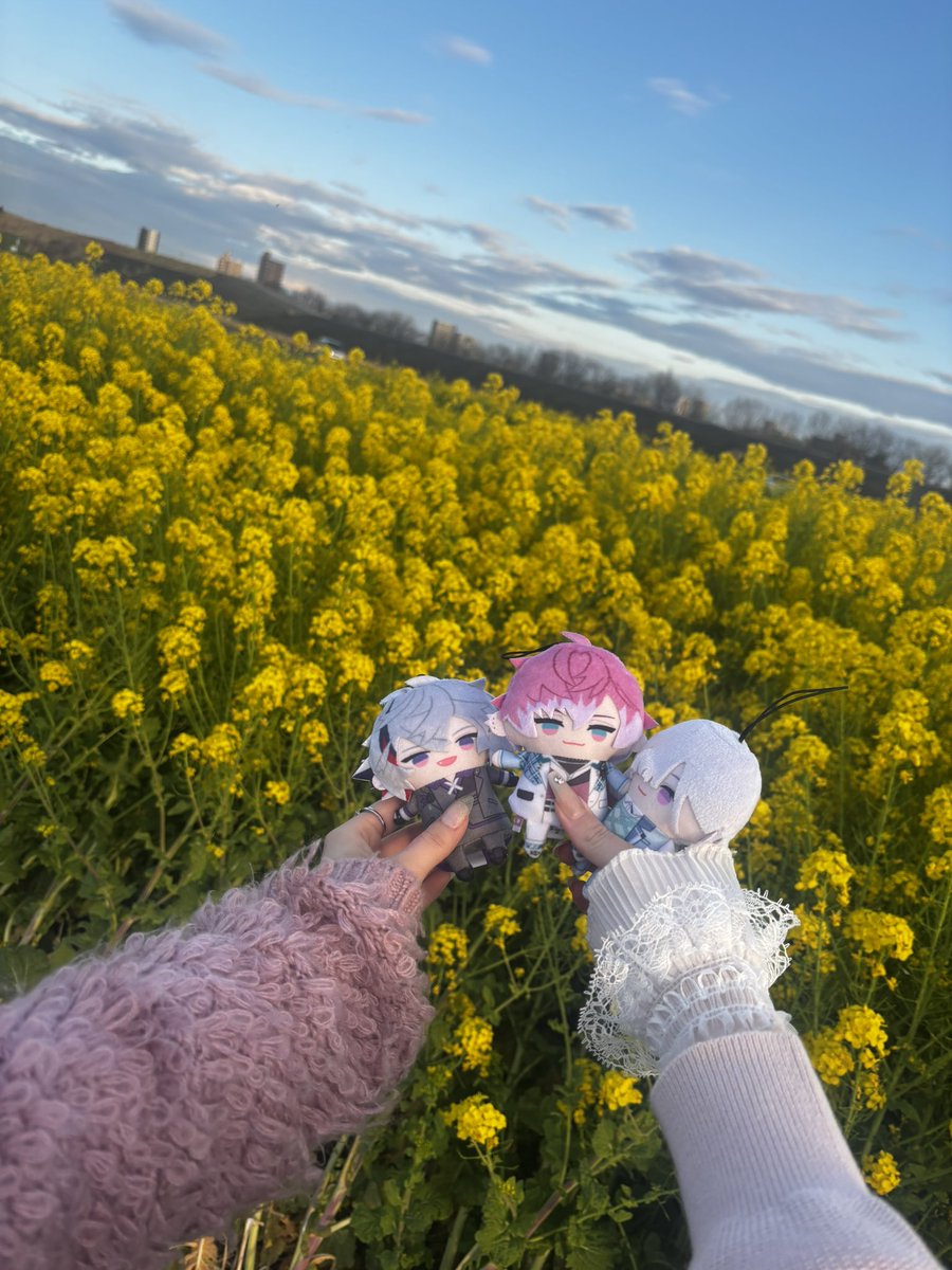 あたり tweet media