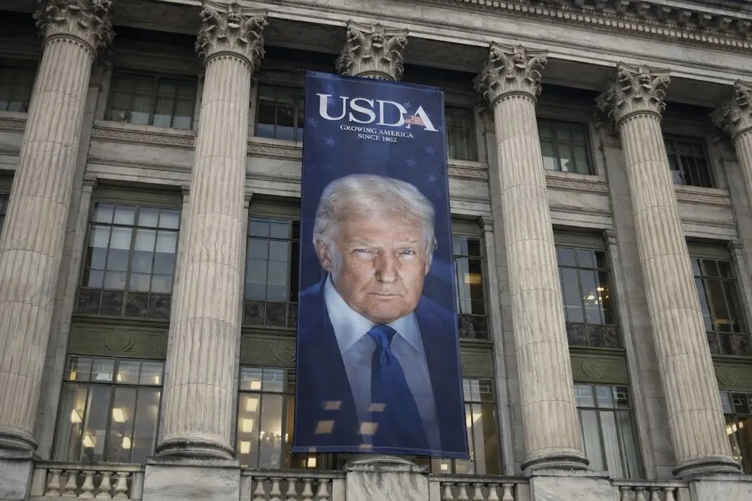 Xavier Peytibi tweet media