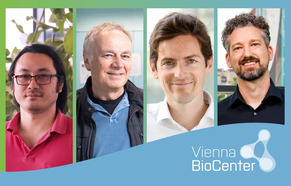 Vienna BioCenter tweet media