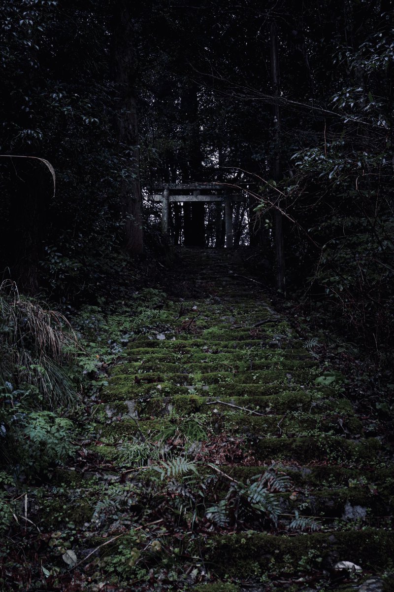 しどろ tweet media