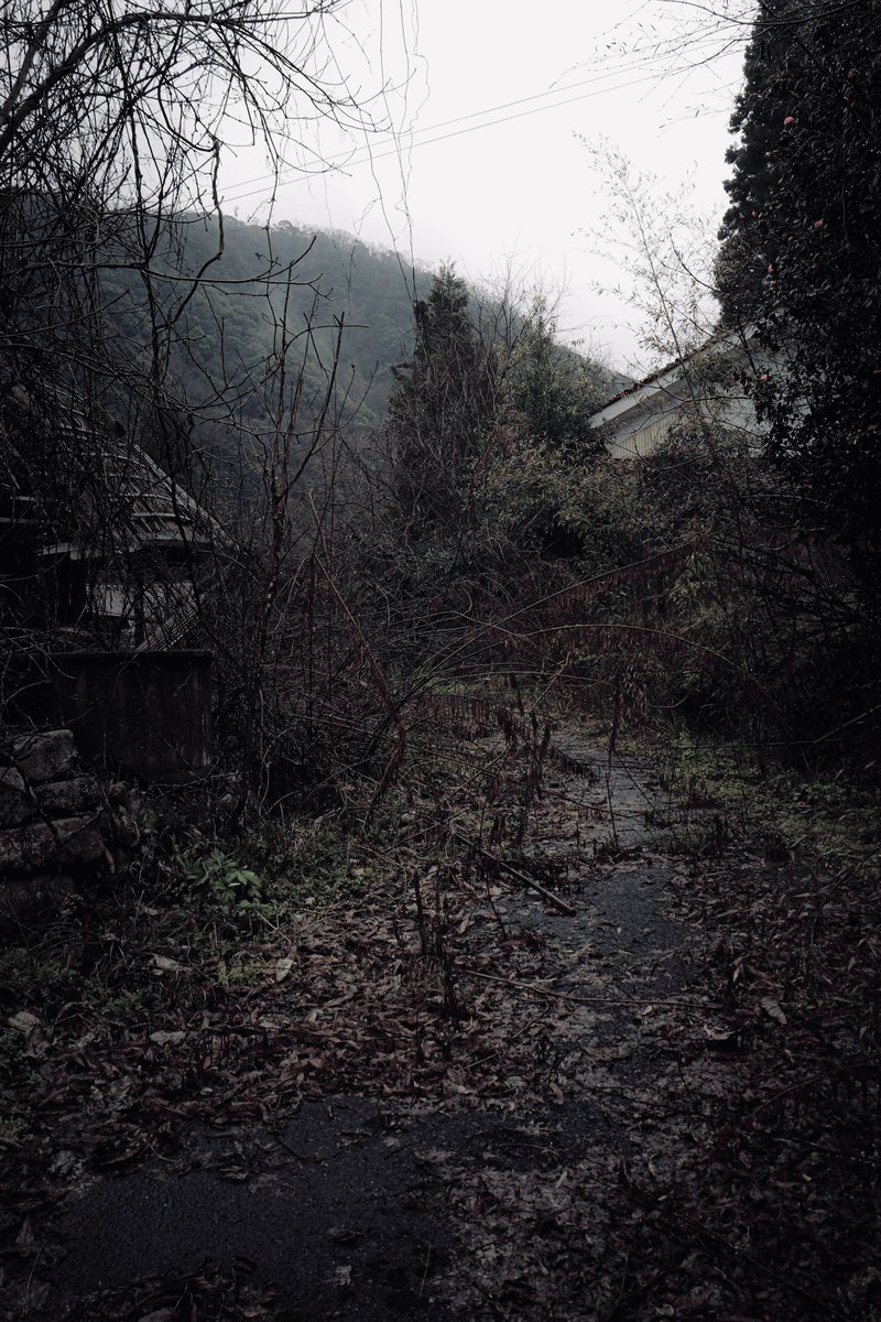 しどろ tweet media