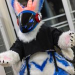 Photo by 闪电幻奕 (@SDHYprotogen)