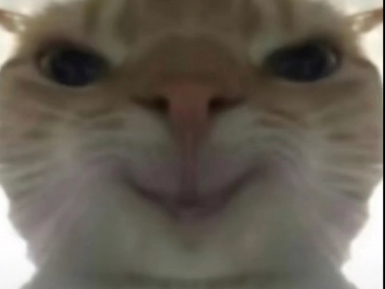 Brooklynne Rousselle tweet media