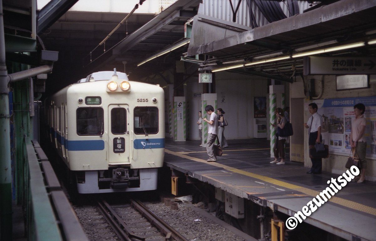 ネズミツオ tweet media