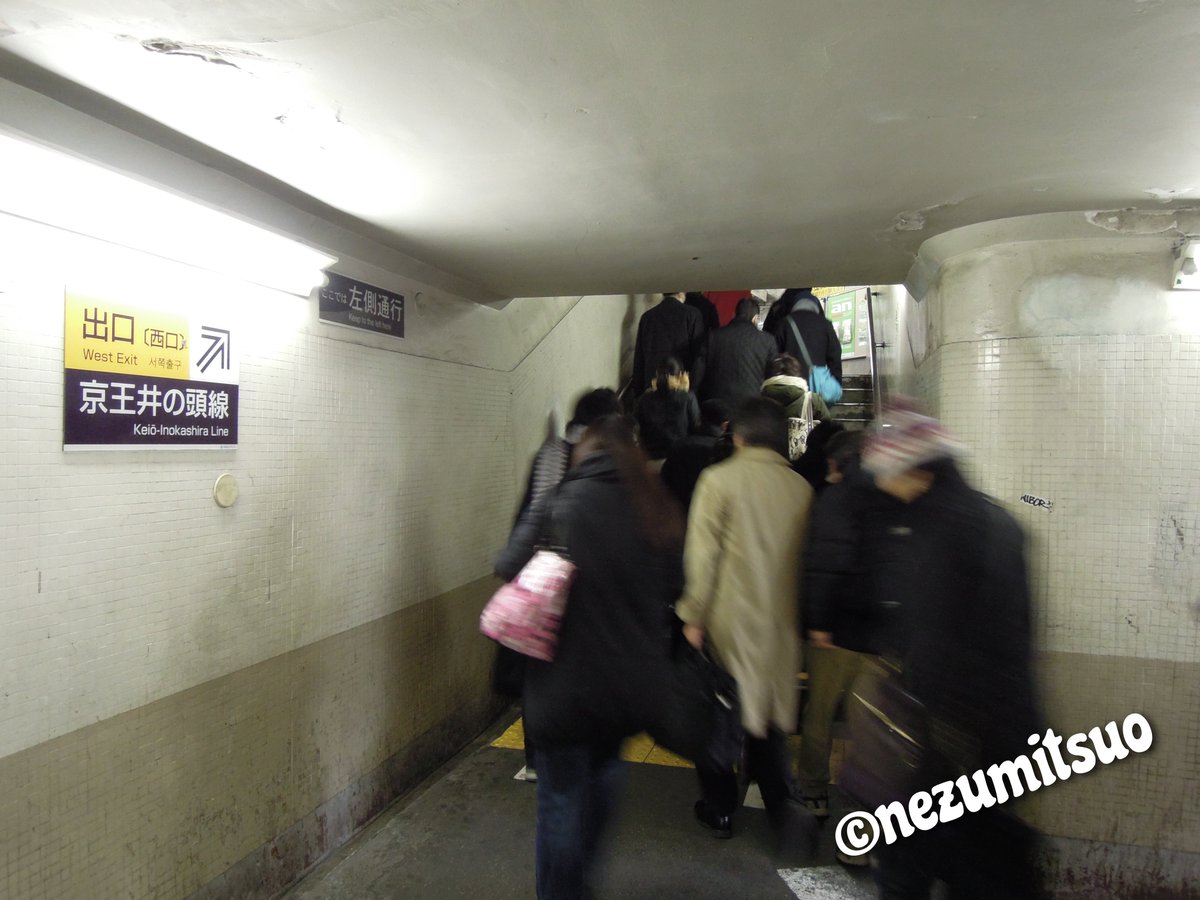 ネズミツオ tweet media