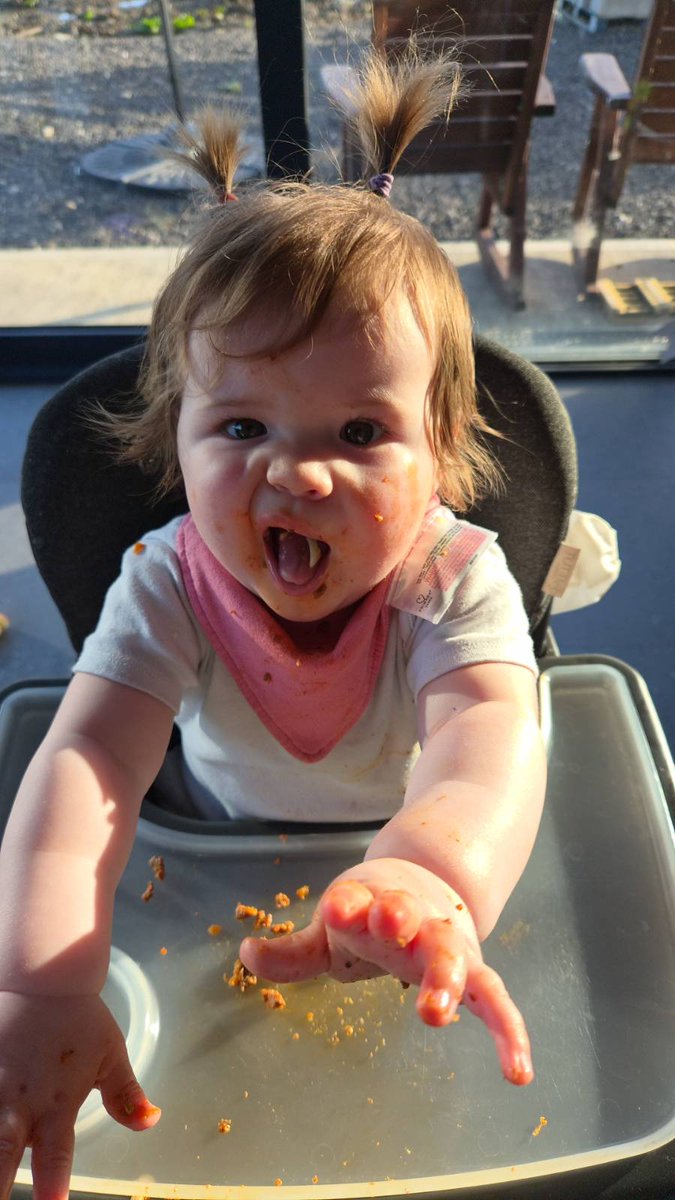 Aoife (Ee-fah) 🇮🇪🍀 tweet media