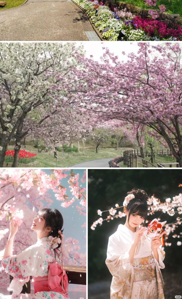 愛純Azumi4/4京都🈳 tweet media