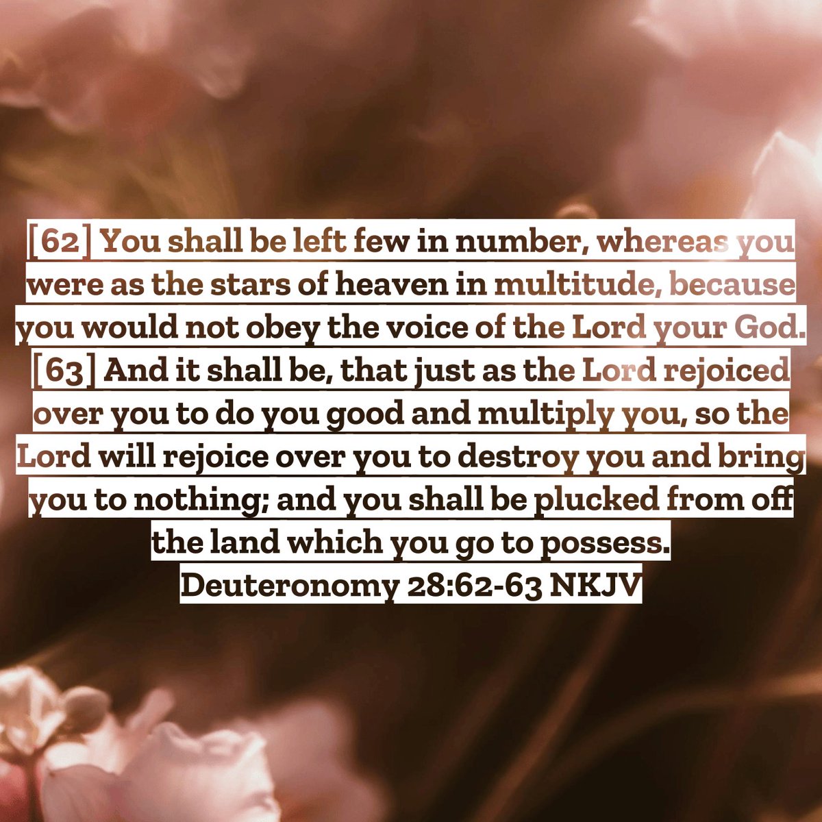 ☩ 𝕮𝖔𝖓𝖆𝖑𝖑 🏴🇺🇸 tweet media