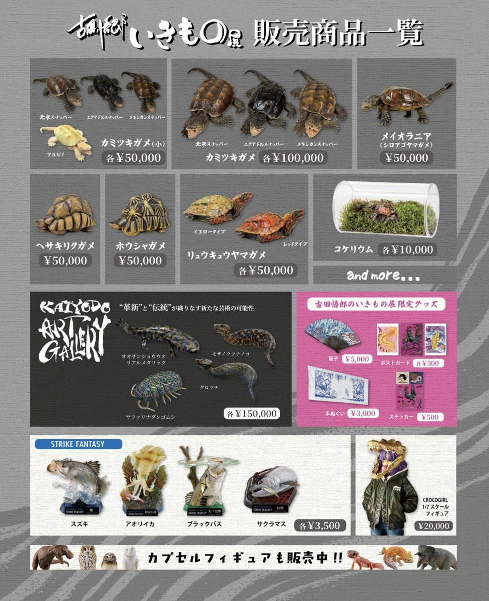 株式会社海洋堂 tweet media