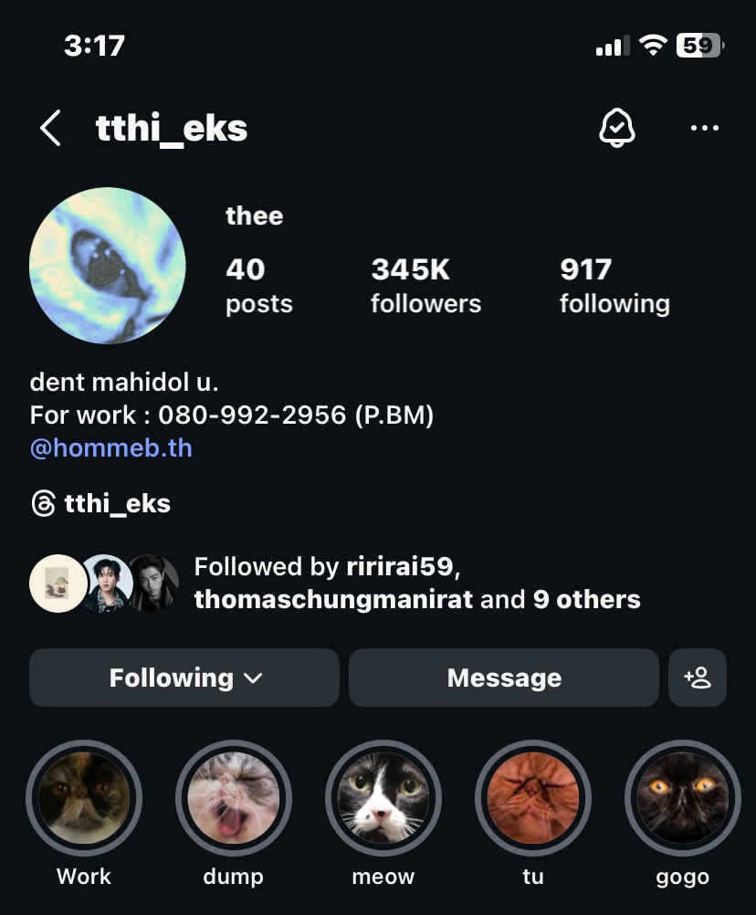 🍀evaaa🪼 tweet media