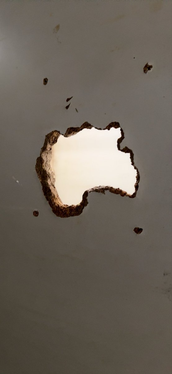 宝藏直男 tweet media