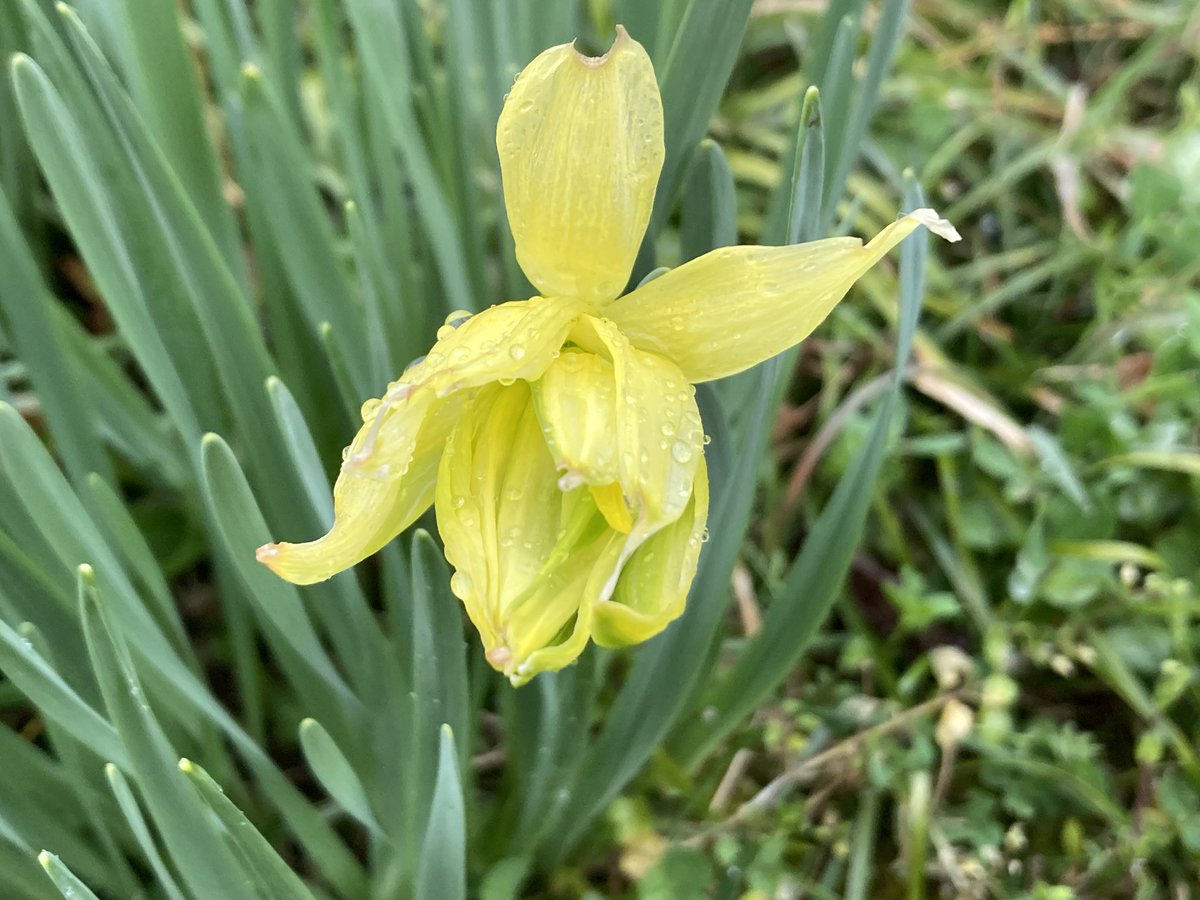 まるまる@お疲れちゃん tweet media