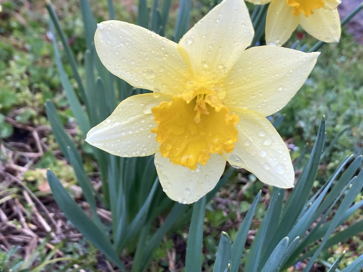 まるまる@お疲れちゃん tweet media