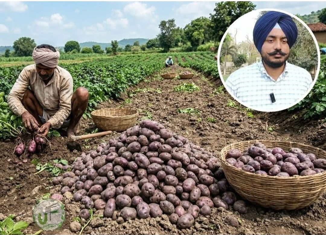 Dr. Sandeep tweet media