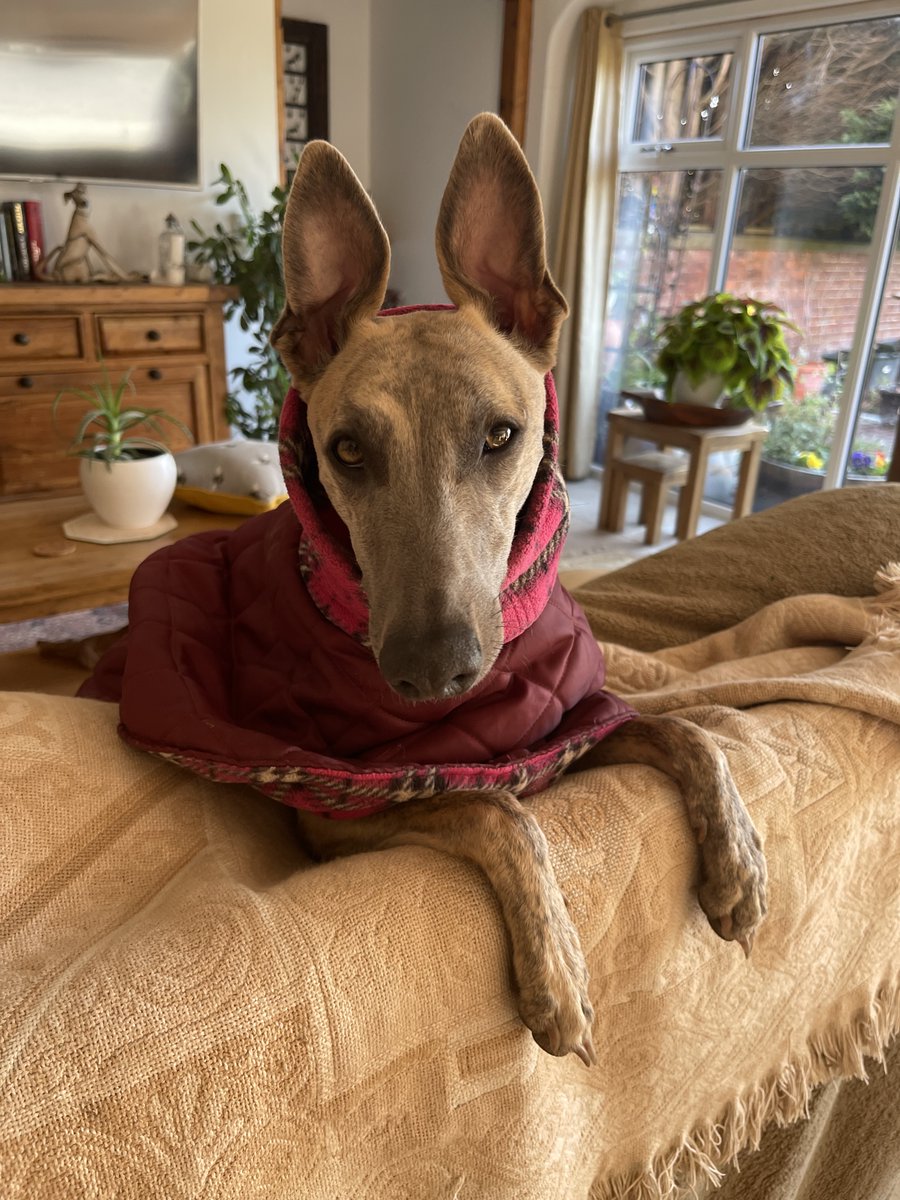 Kai 🌈& Co tweet media