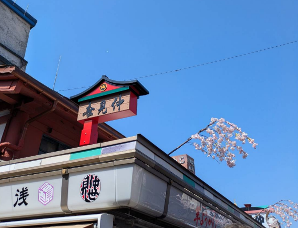 観光地に行ったら周辺まで自分で撮るようにしてる。 
最近は「マネしよう」「参考にしよう」が広まりすぎて、パクリになっちゃってるブログも増えている気がする💦

 実際にパクられたこともあるので…

画像・体験・判断が一体化した一次情報を増やして、ささやかに自衛中。
▼先日の浅草🌞