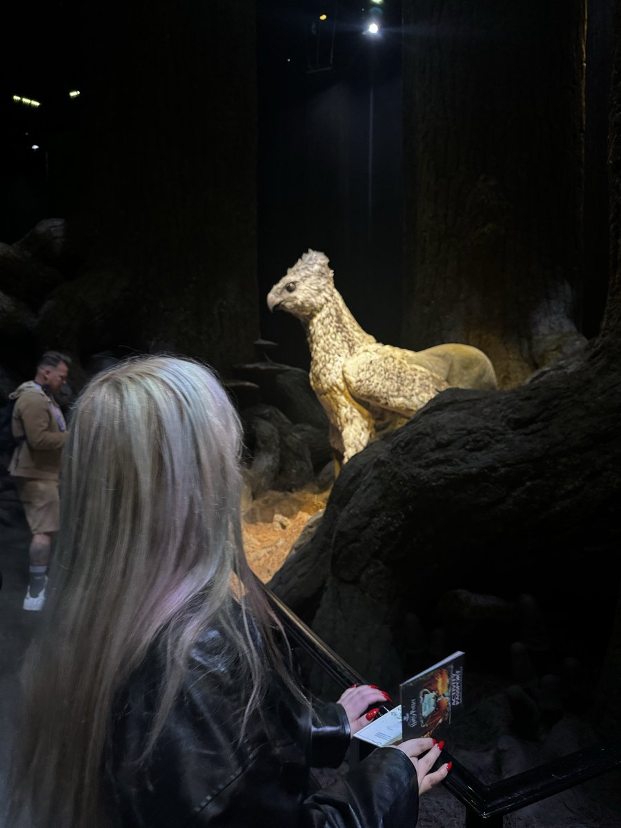 רוז אור tweet media