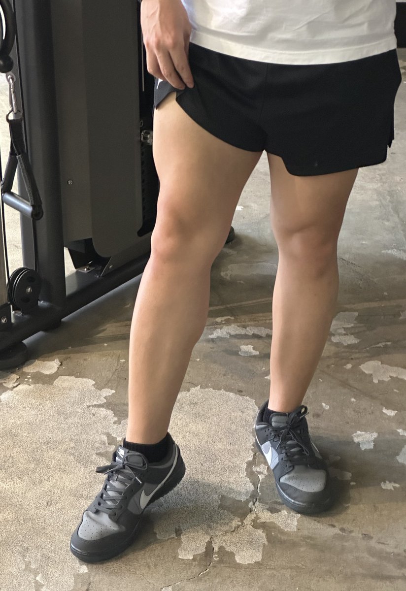 seri/gala tweet media