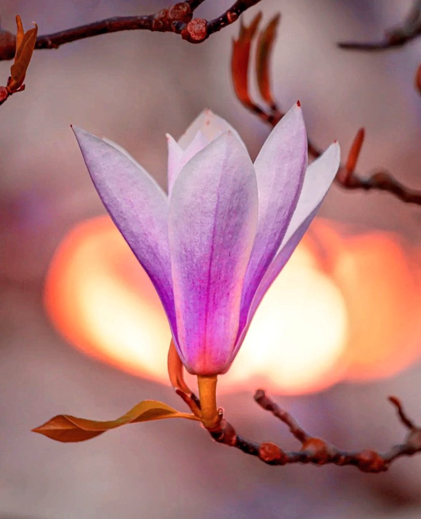 ひろゆき🇯🇵🌎🍀🧡 tweet media