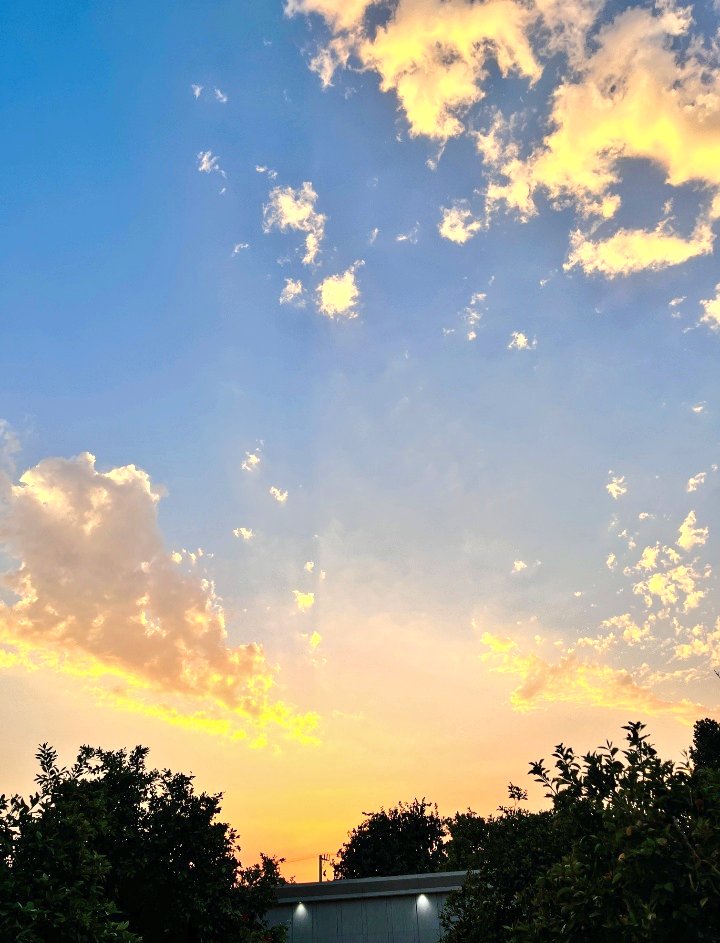 اُم عون بدر tweet media